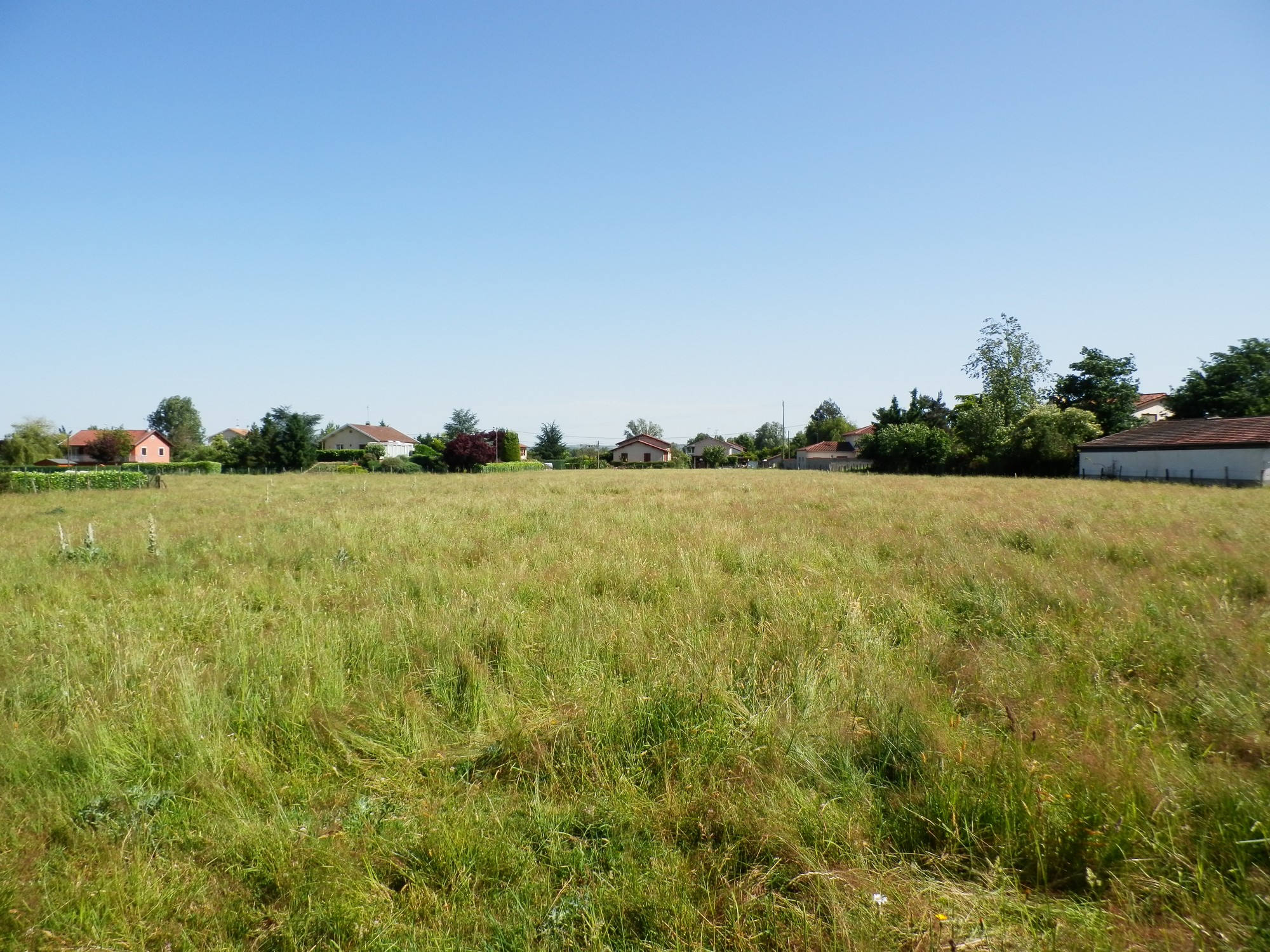 terre agricole