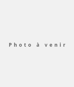 Francis Asselin